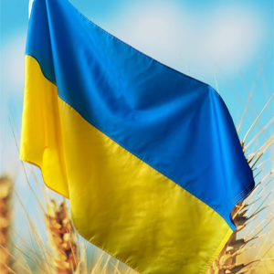Прапор України 3 на 2