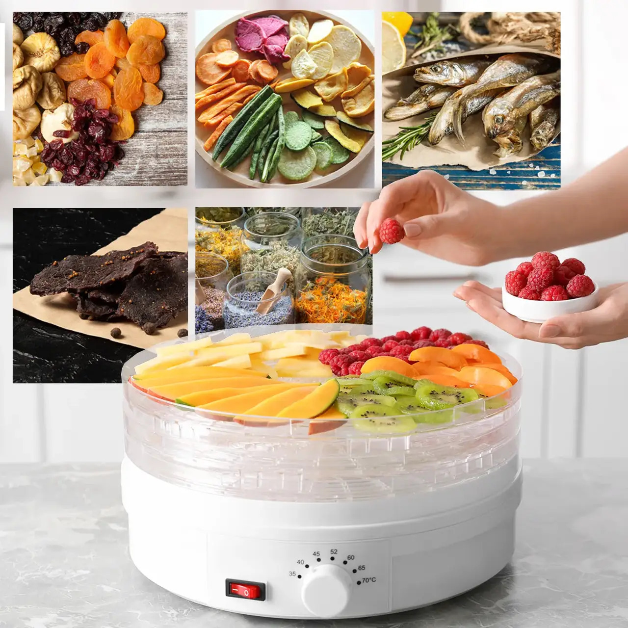 Сушарка для овочів, фруктів, грибів Maltec DryMaster 500W, 6 ярусів 2 Сушарка для овочів, фруктів, грибів Maltec DryMaster 500W, 6 ярусів - Зображення 2